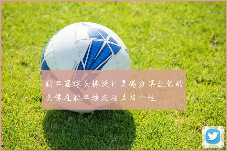 新年篮球头像设计灵感分享让你的头像在新年焕发活力与个性