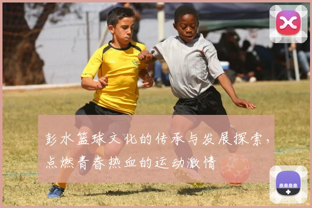 彭水篮球文化的传承与发展探索，点燃青春热血的运动激情