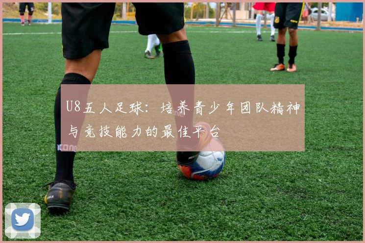 U8五人足球：培养青少年团队精神与竞技能力的最佳平台