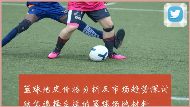 篮球地皮价格分析及市场趋势探讨助你选择合适的篮球场地材料